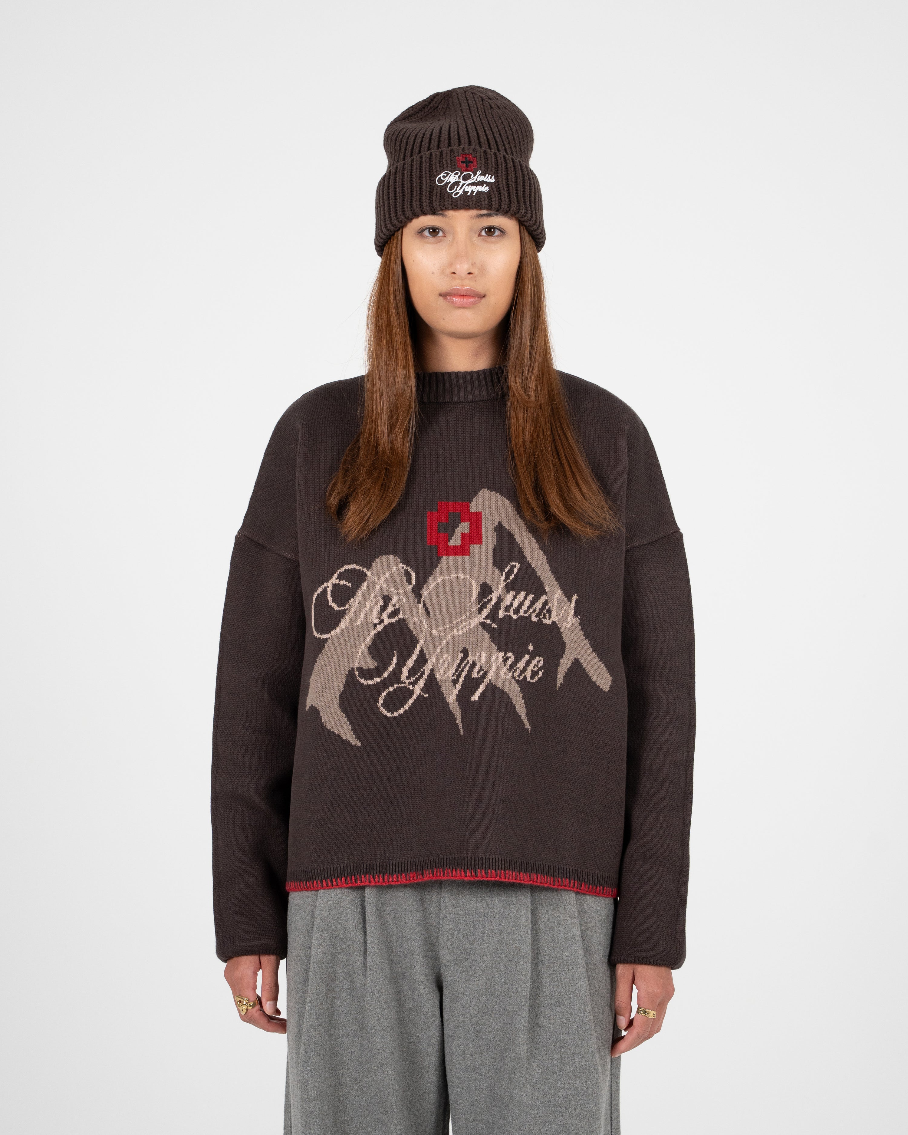 The Swiss Yuppie Knit Sweater Brown