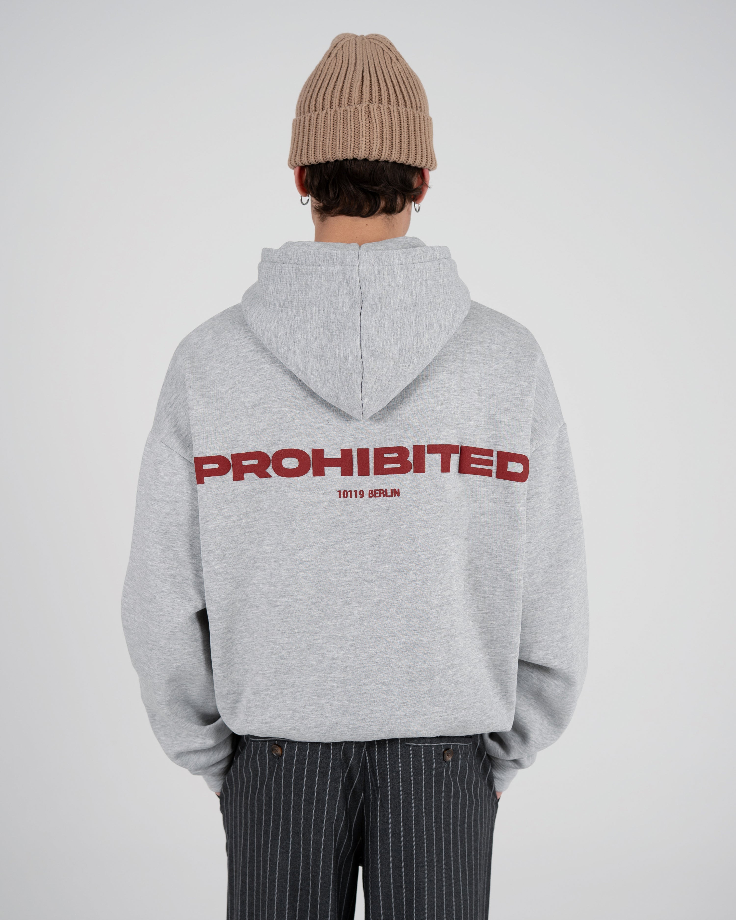 10119 Hoodie Grey Melange