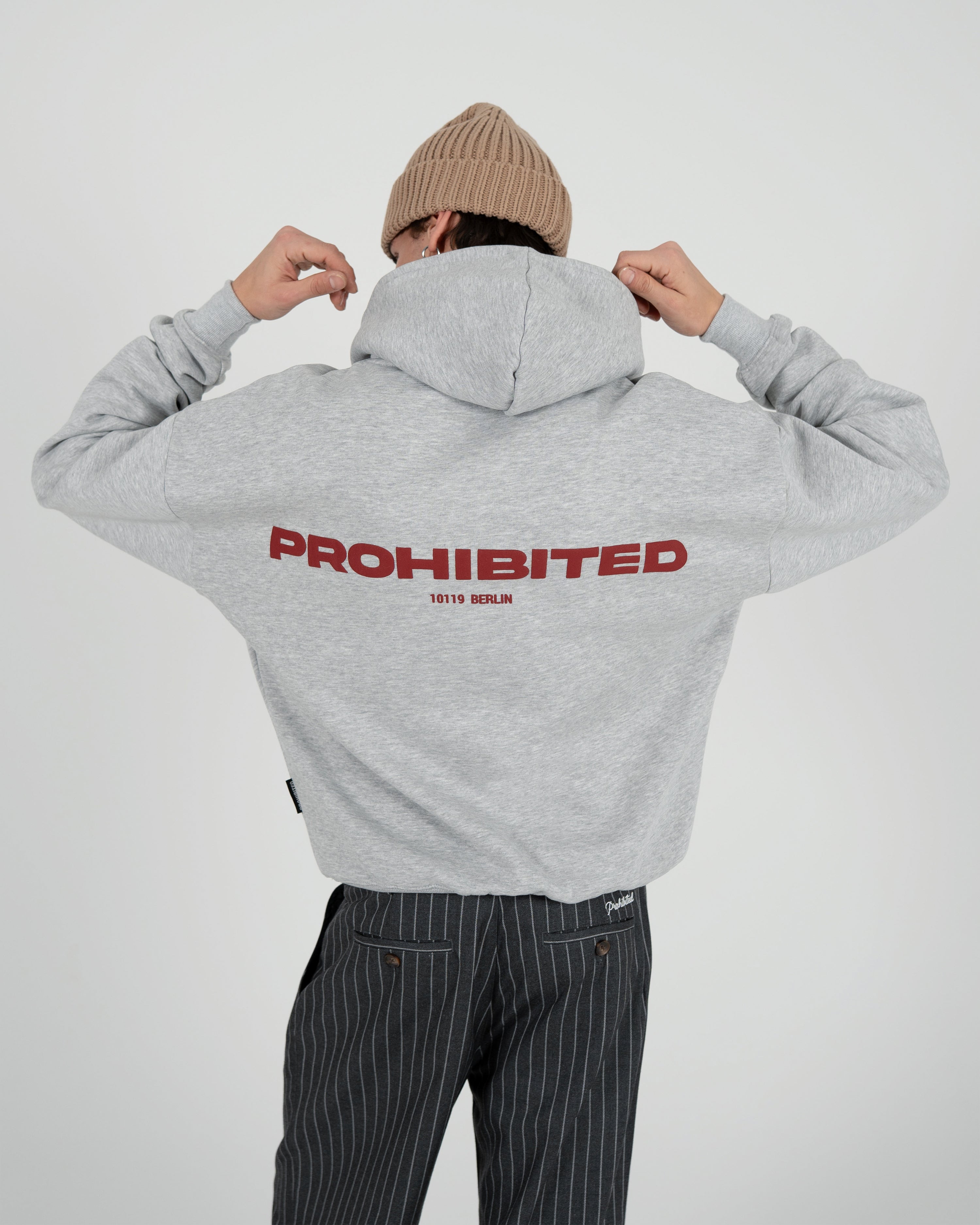 10119 Hoodie Grey Melange