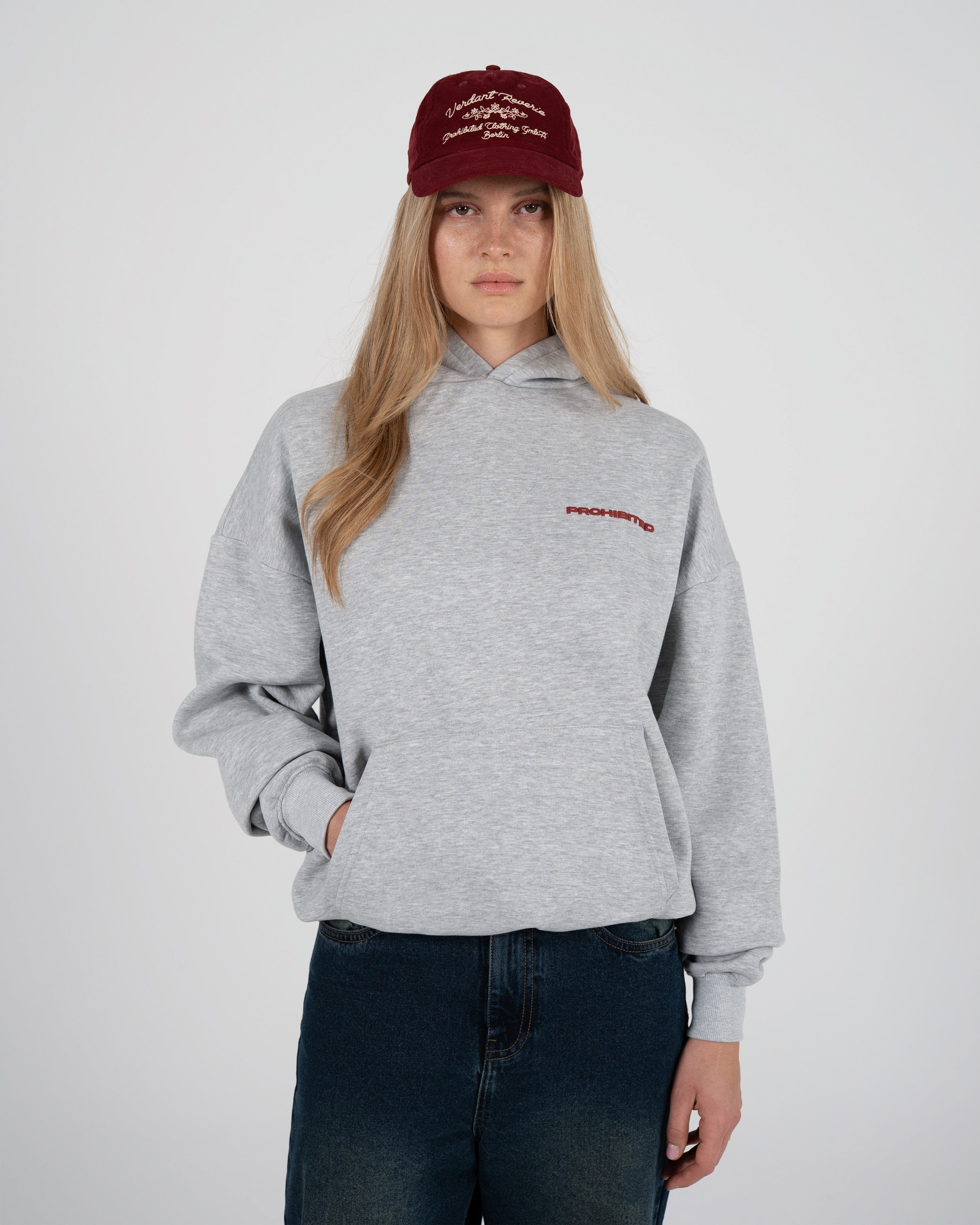 10119 Hoodie Grey Melange