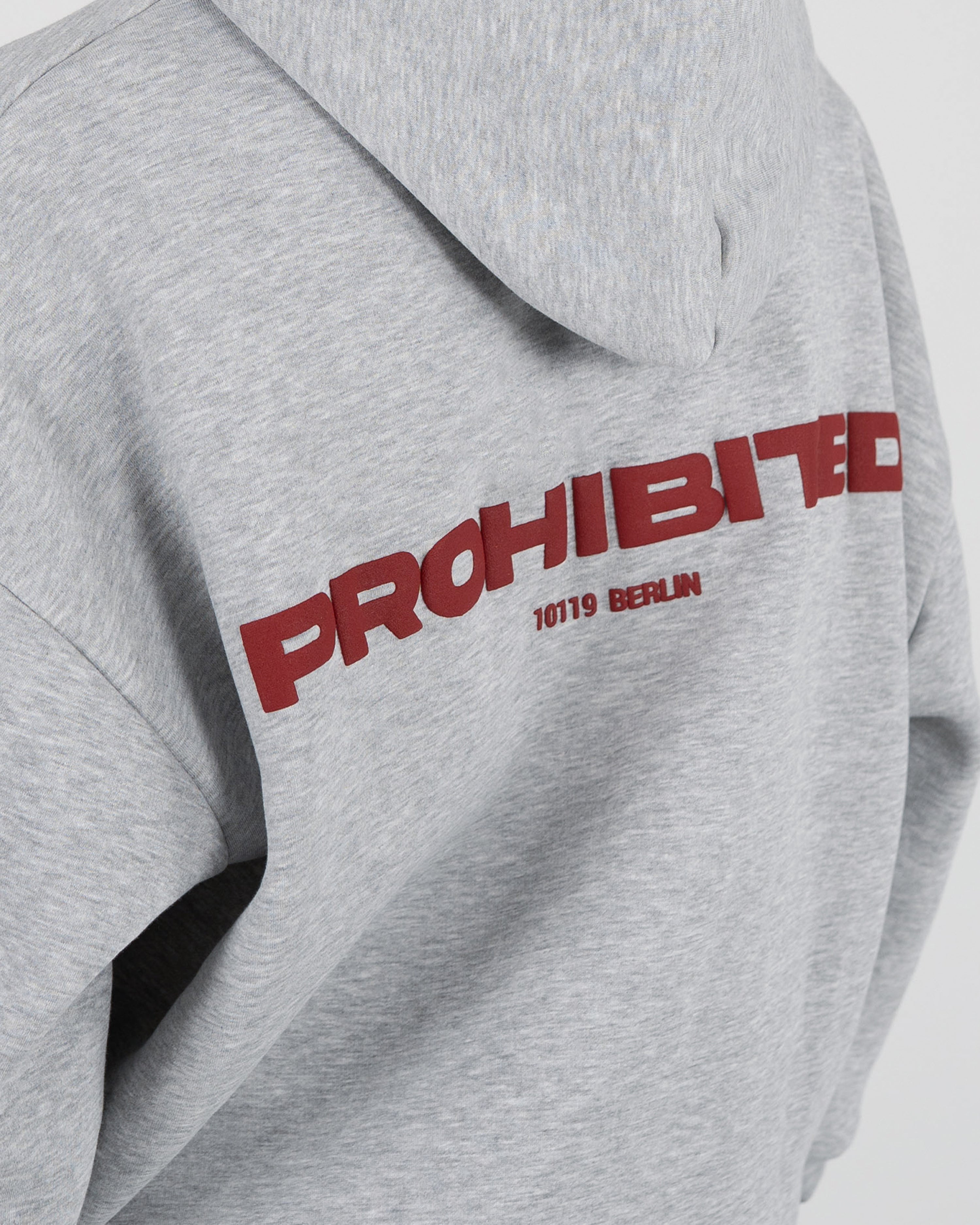 10119 Hoodie Grey Melange