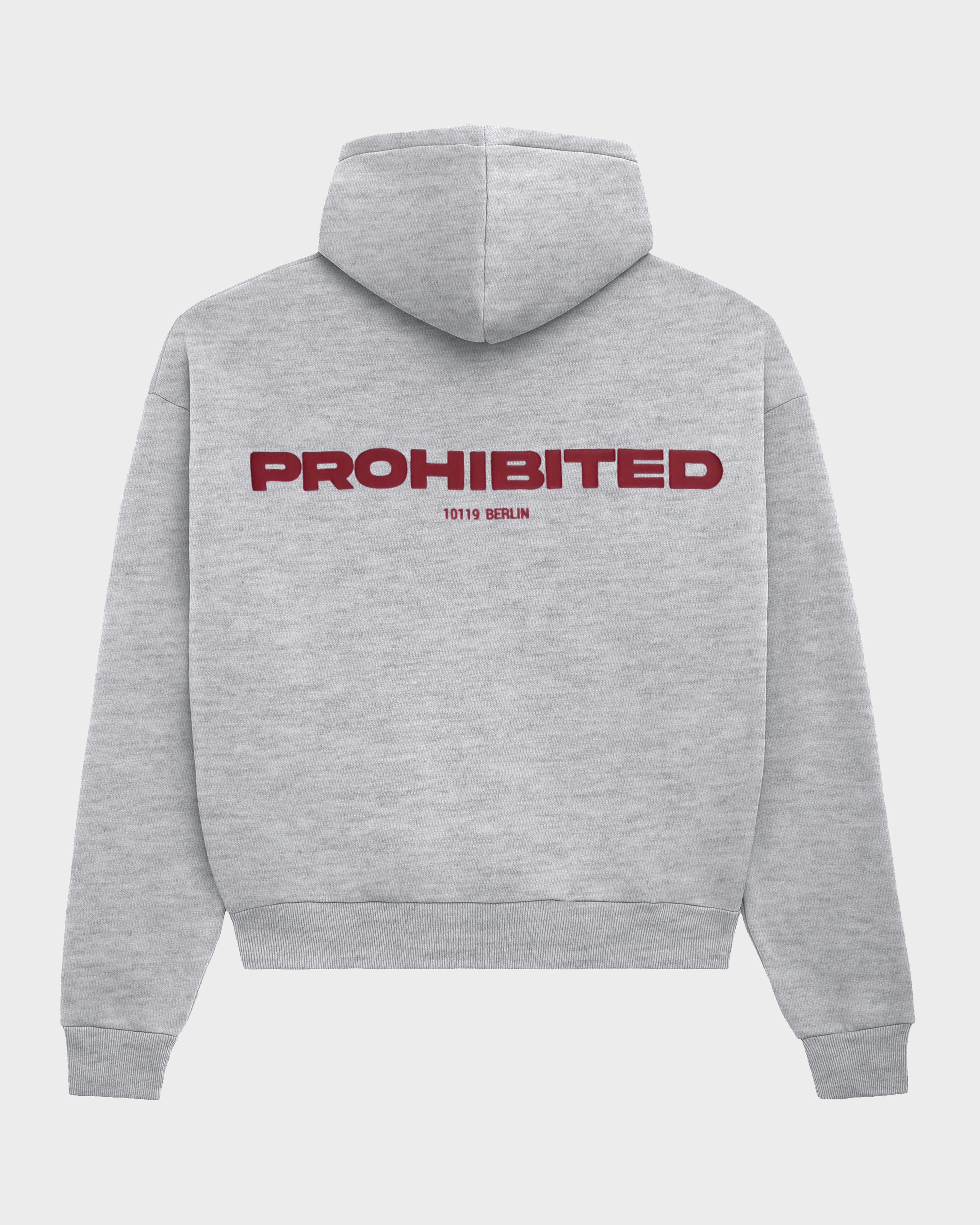 10119 Zip-Hoodie Grey Melange