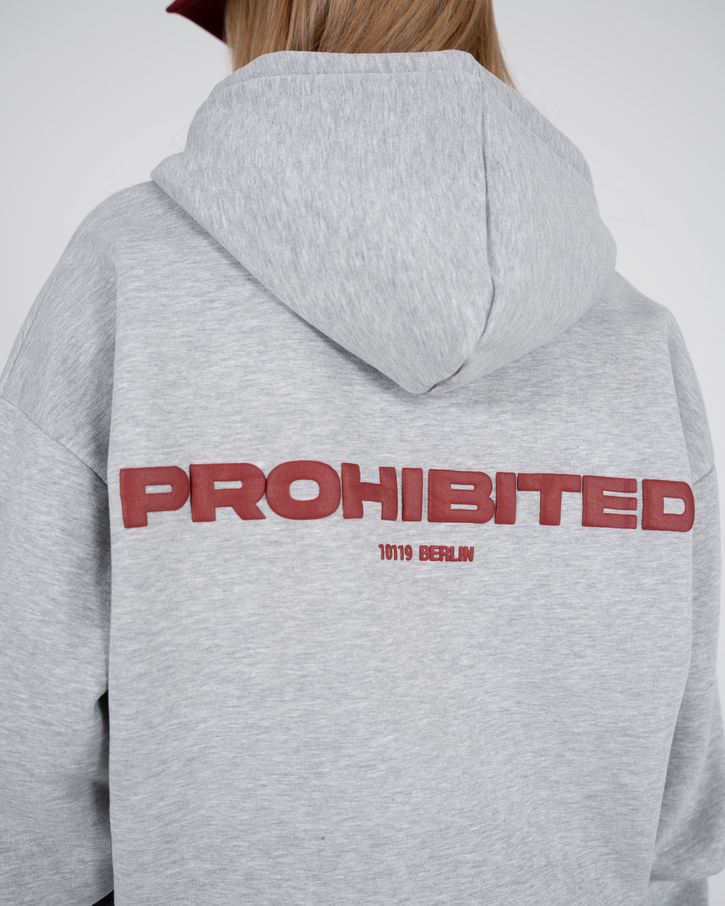 10119 Zip-Hoodie Grey Melange