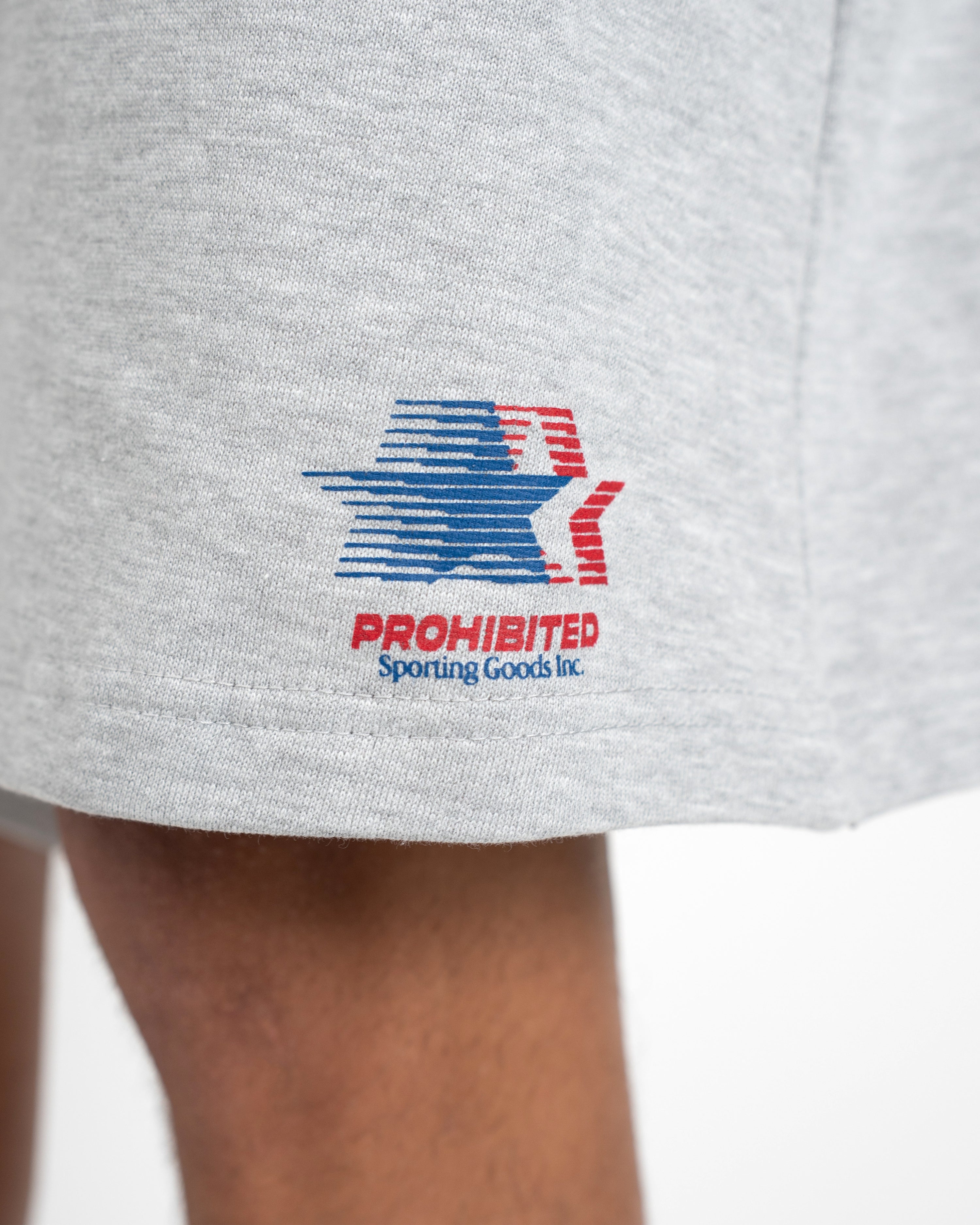 Sporting Goods Shorts Grey Melange