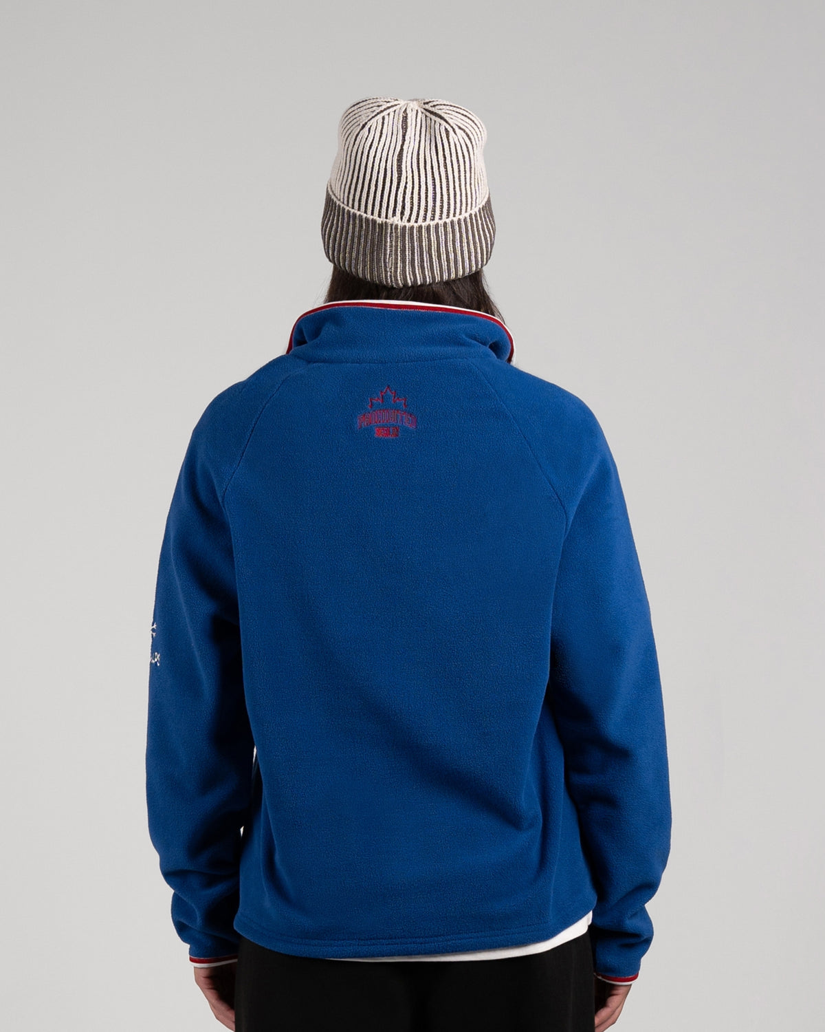 Swiss Alps Fleece Quarter-Zip | Blue