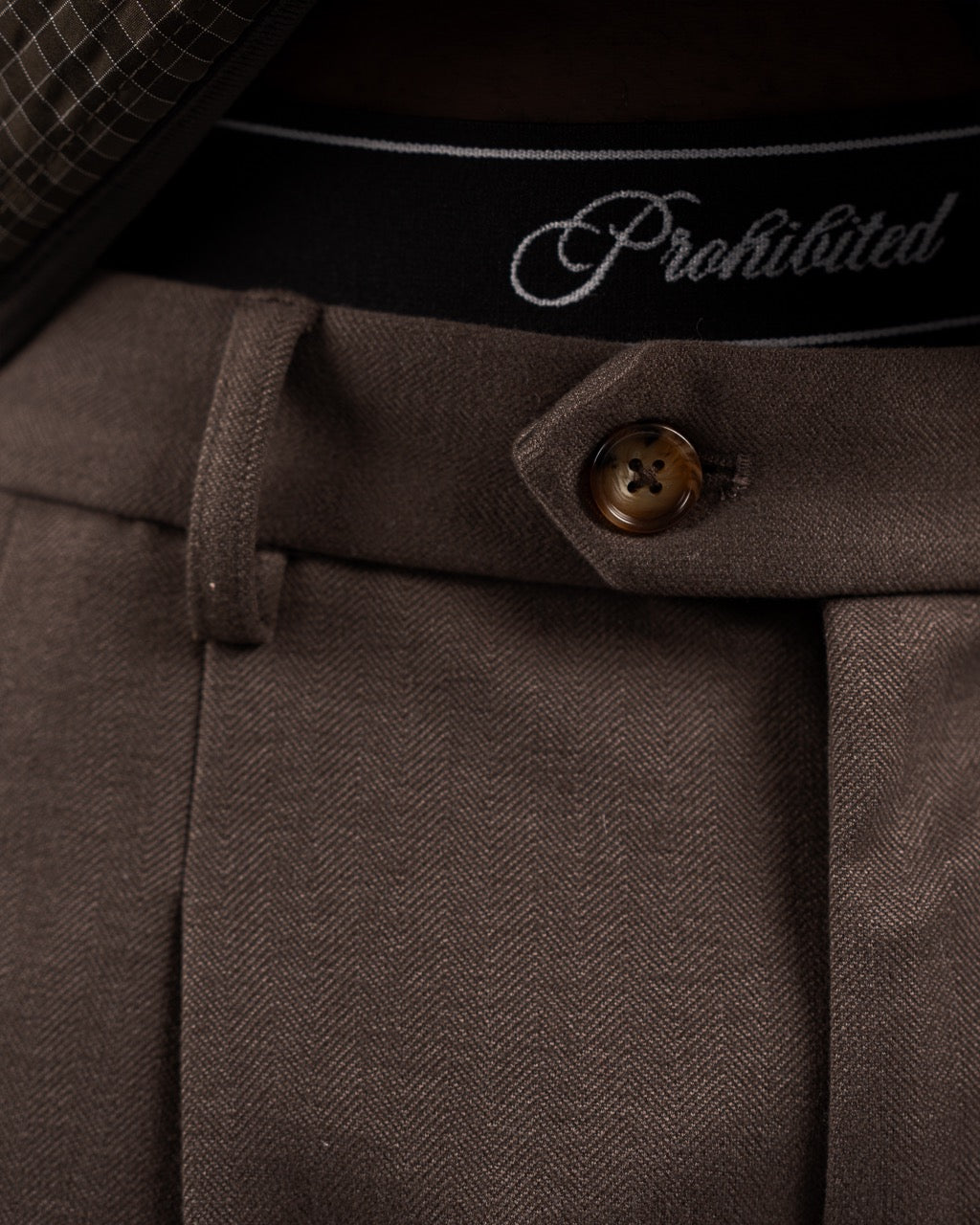 Powder Pleated Pants | Brown