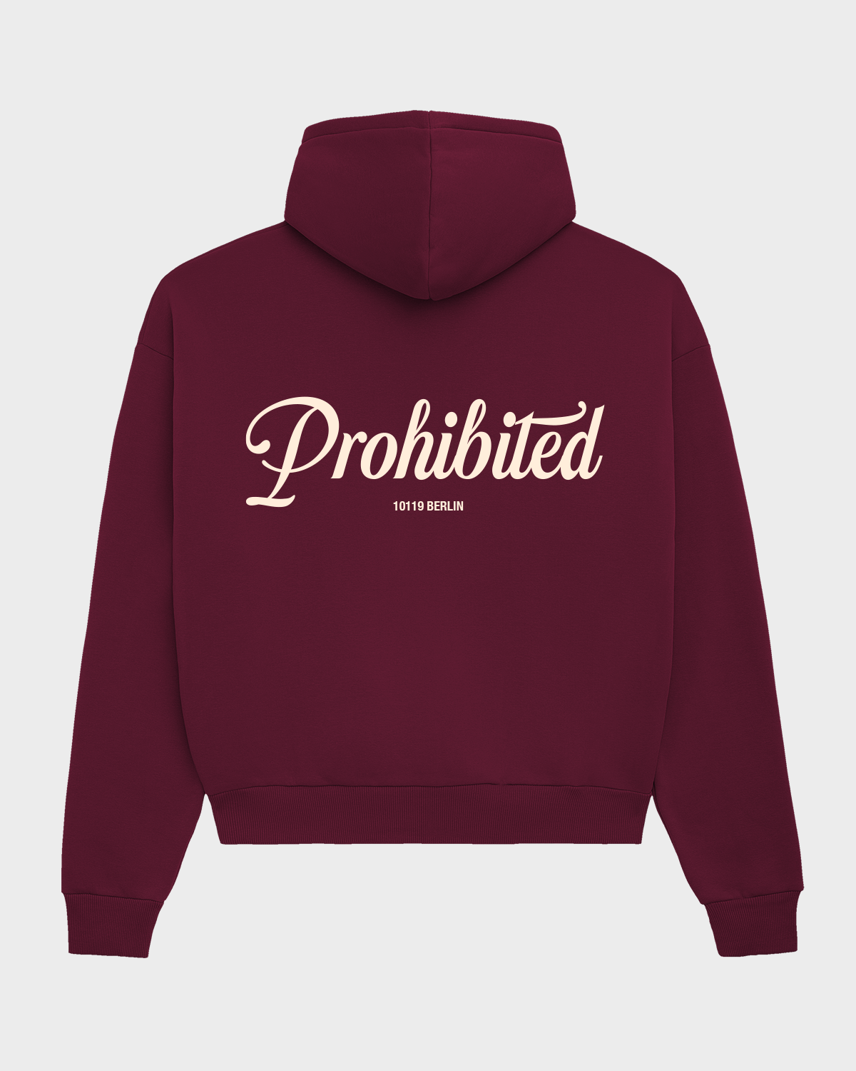 10119 Hoodie 2.0 Bordeaux