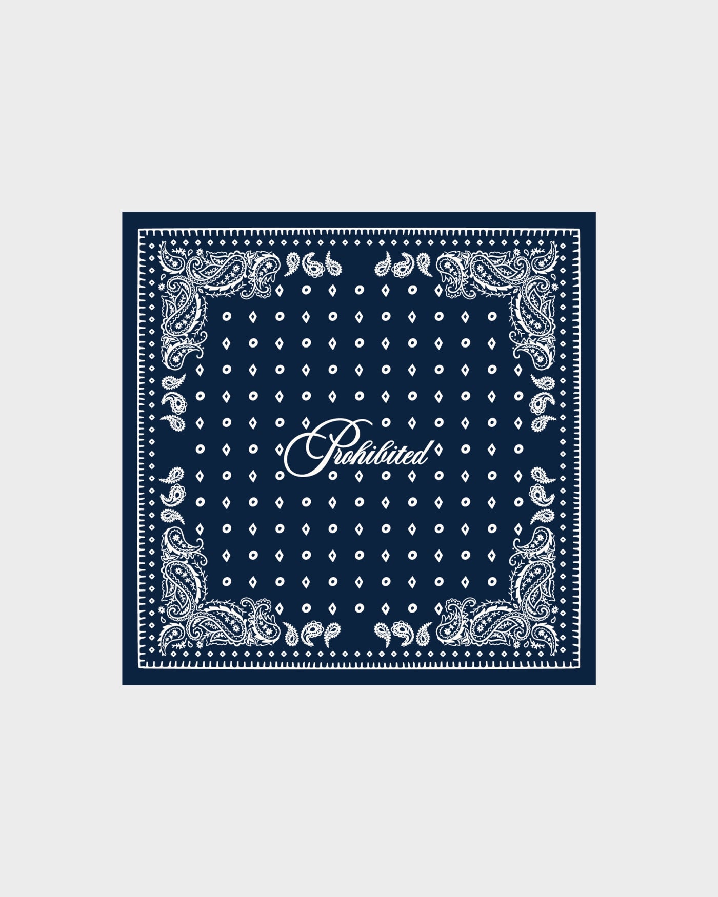 Prohibited Signature Scarf | Navy