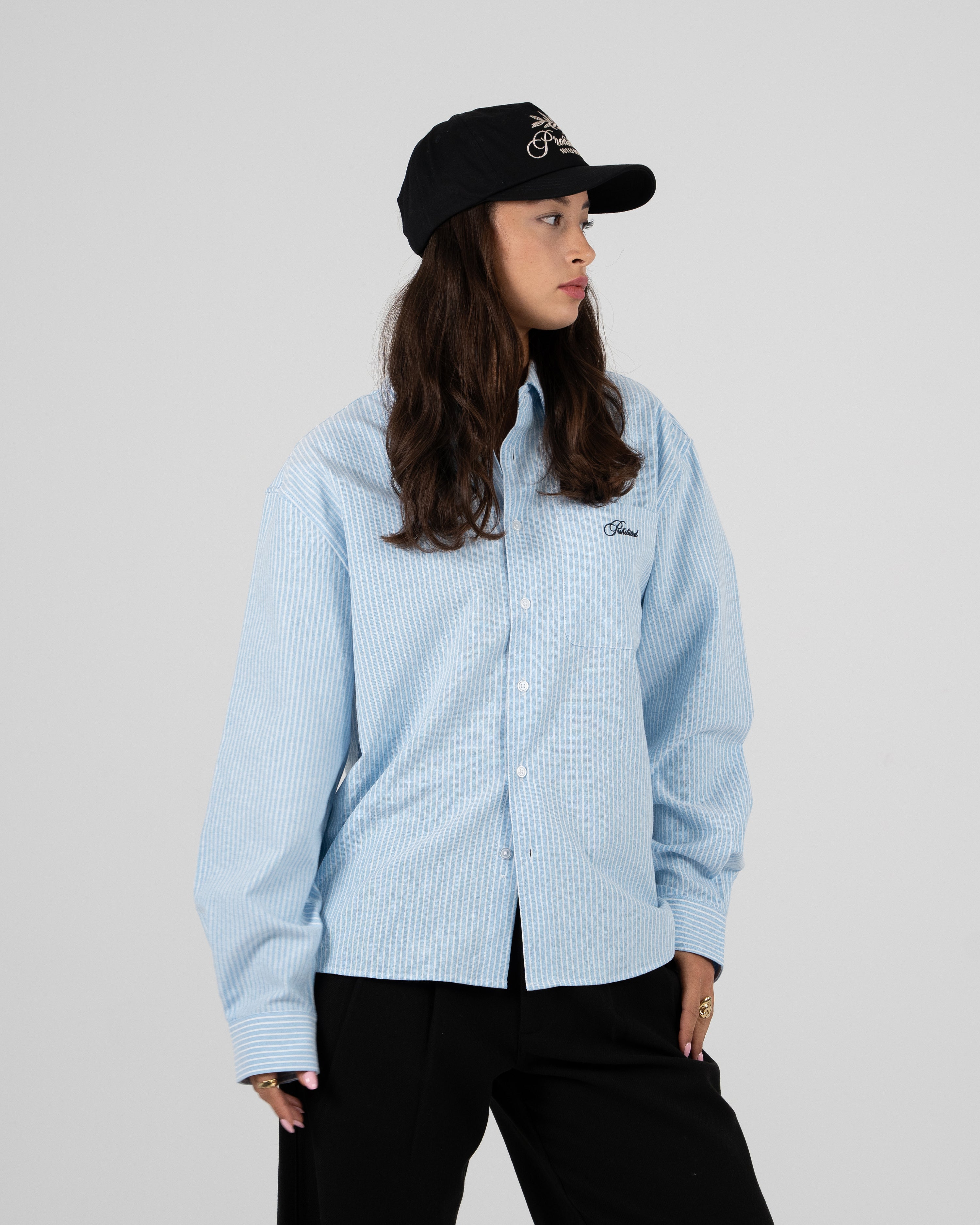 The Oxford Button Down Shirt Blue