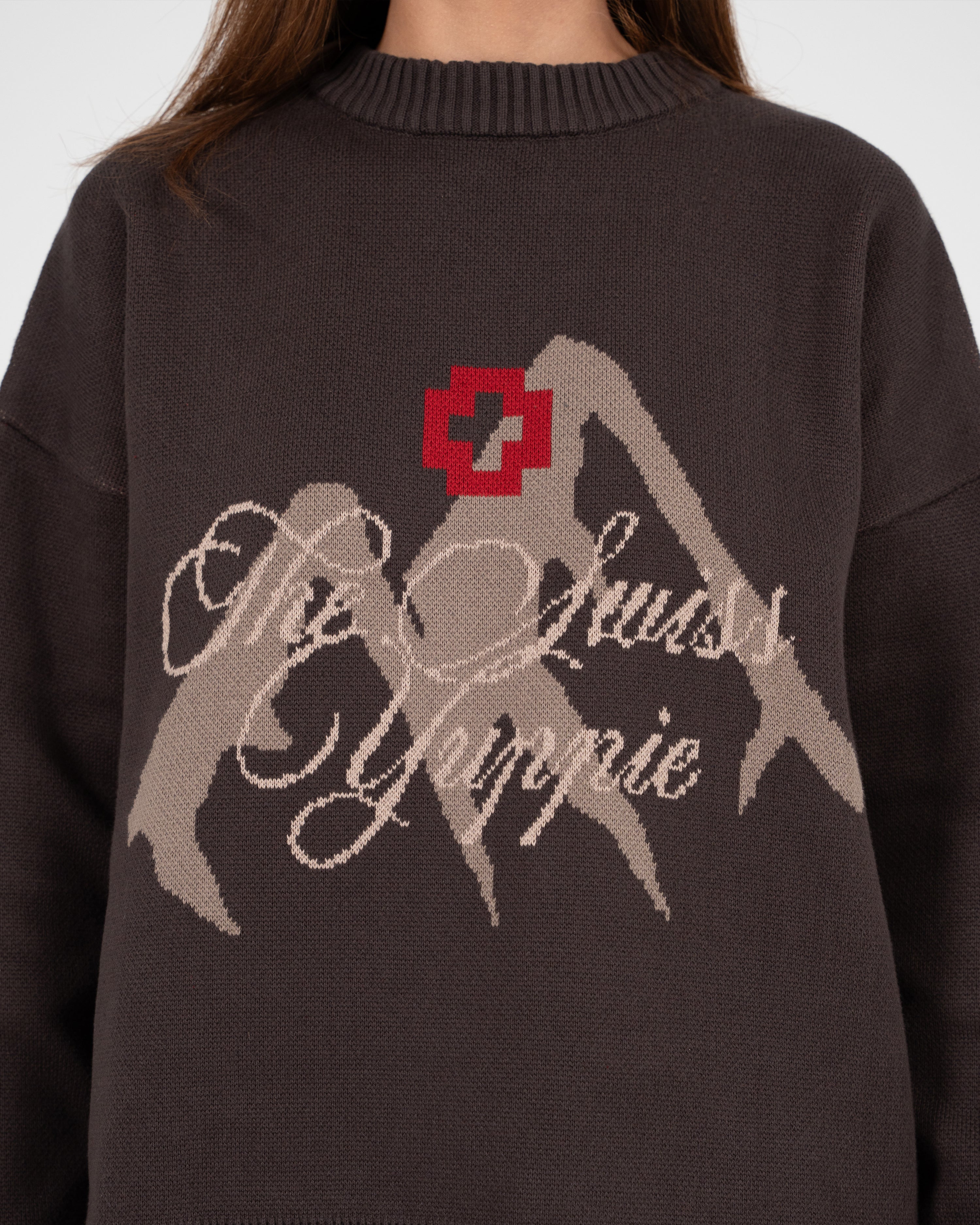 The Swiss Yuppie Knit Sweater Brown